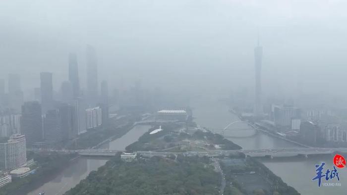 能见度最低160米！雨雾天气将持续到→