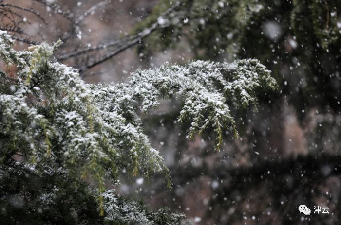 天气 | 昨天的雪下哪了？本周还有雪！气温要“打对折”！