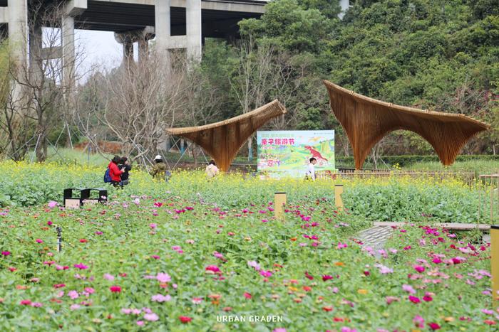 深圳多家公园上新！走，踏青赏花去→