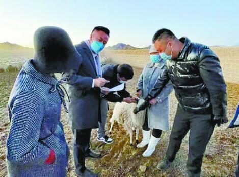 【一讲两稳三促·万名干部下乡】风雪中走来农牧民群众的“解难人”