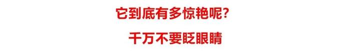 没洗头不敢出门？德国发明的“免洗发喷雾”，一喷一抹，解决头发又油又臭问题