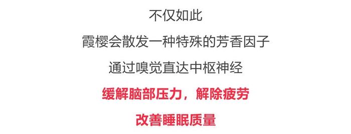 没洗头不敢出门？德国发明的“免洗发喷雾”，一喷一抹，解决头发又油又臭问题