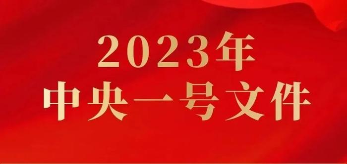 2023年中央一号文件来了，看看哪些跟咱有关？