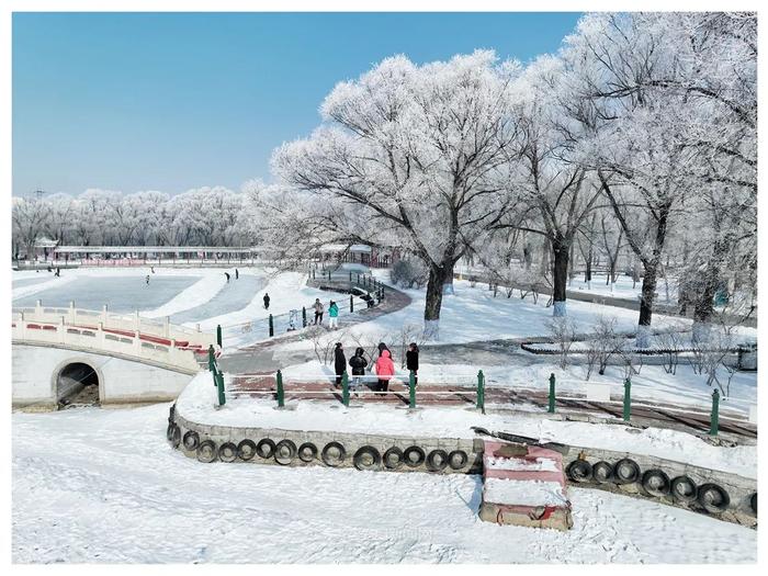 寒潮去，气温升！暖空气推动冰城将升温至-2℃