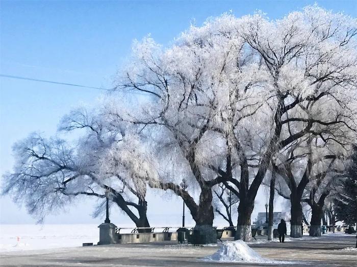 寒潮去，气温升！暖空气推动冰城将升温至-2℃