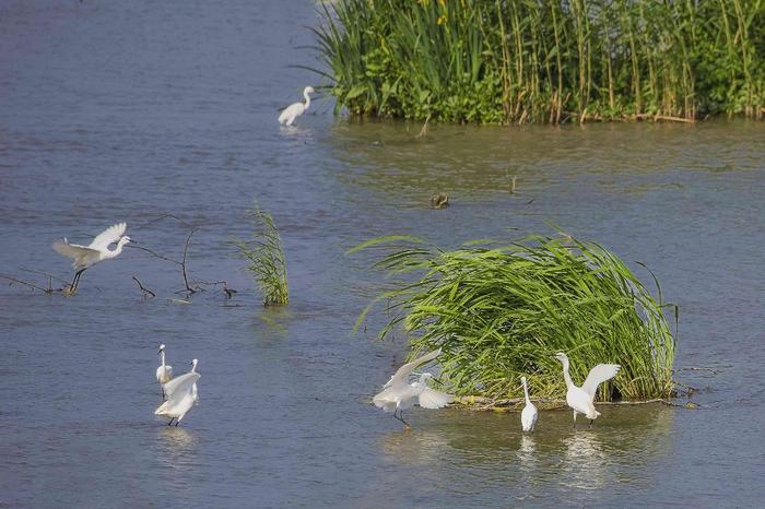 江苏常州出台全国首部全行政区域水生态环境保护法规