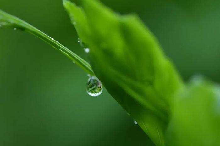 今日雨水，春意渐浓！这几条海口出游经典线路推荐给您