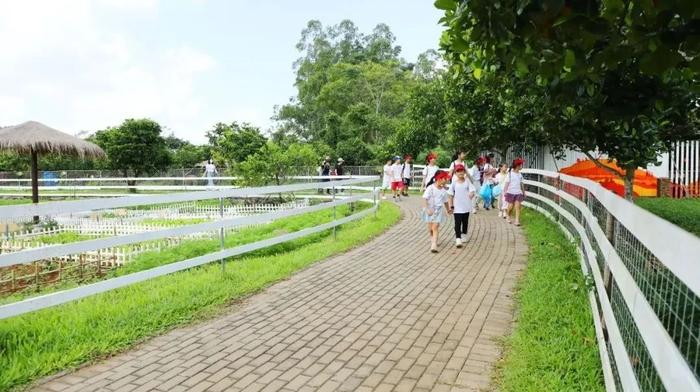 踏青时节怎么玩？这几条海口出游经典线路推荐给您