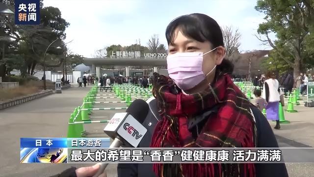 大熊猫“香香”最后一天在日本见游客,民众依依惜别送祝福