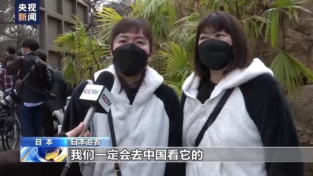 大熊猫“香香”最后一天在日本见游客,民众依依惜别送祝福