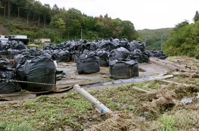 朝阳少侠：日本执意加快推进核污染水排海，肚子里装的什么坏水？