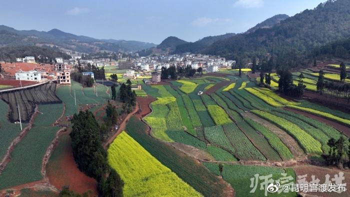 师宗县：无人机飞防助力粮食安全生产