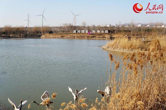 写意中国探寻汉字起源丨从《诗经》中走来的淇河 再现诗意美景