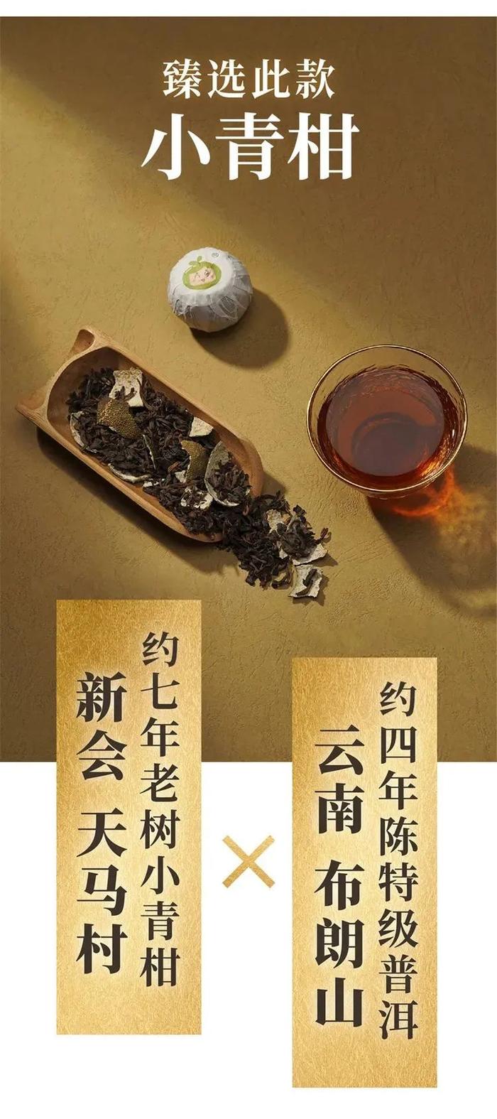 布朗山老树普洱，新会核心产区，这一口小青柑茶太香了，春夏必喝！