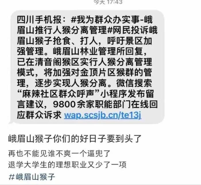 猴子犯“过失伤人罪，刑事拘留十天”！知名景区回应…