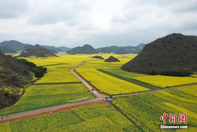 云南罗平百万亩油菜花盛放 群峰下花田蔚为壮观