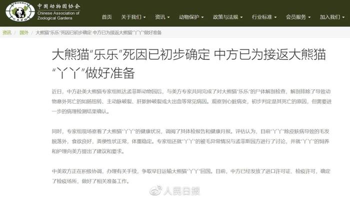 关注 | “乐乐”死因初步确定，“丫丫”回国最新消息