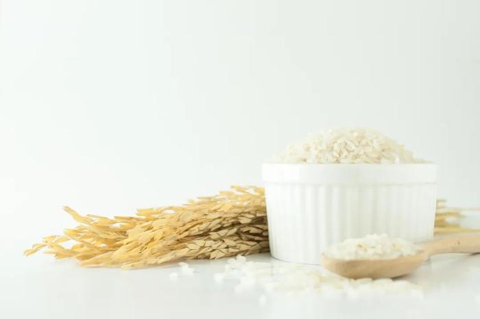 吃米和吃面哪个更容易胖？研究10万人得出的结论是……