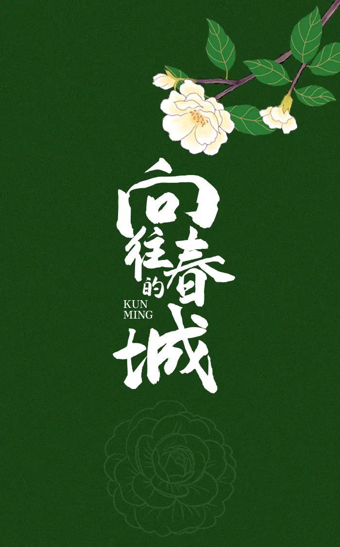 山茶花开满园春｜向往的春城