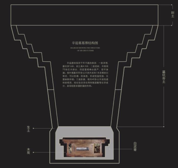 现场｜马王堆文物来沪：从漆器帛画等看西汉图景