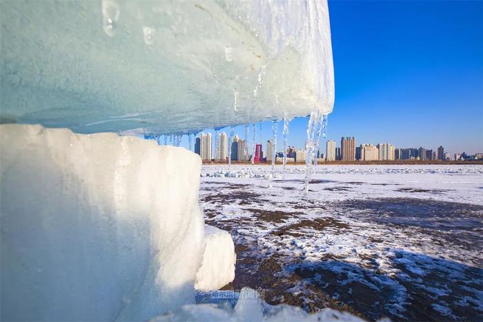 冰城最高气温升至13℃｜周末迎来升温小高峰#超多美图的天气预报