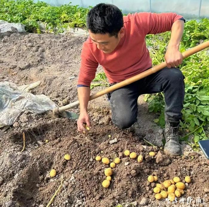 首次提早2个月！宁波人“小时候的味道”上市了！价格是……