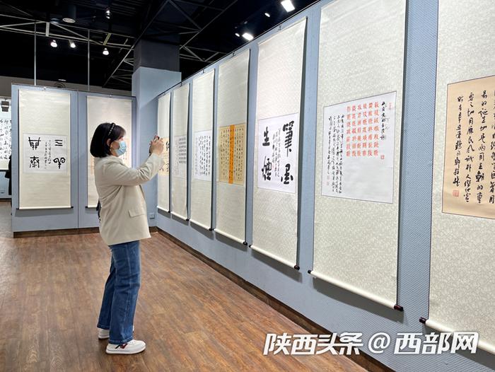 视频丨“故乡情”唐拴怀书法作品展在陕西省图书馆开幕