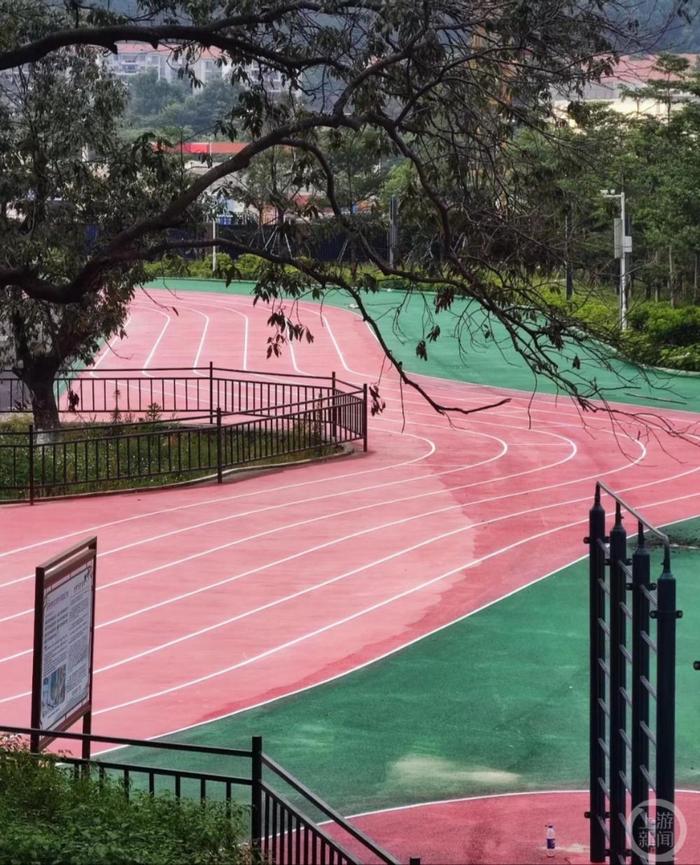 广州一学校操场跑道专门为古树“绕道”，附近楼盘也多次改规划