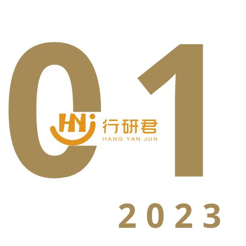 2023年全球电动汽车市场趋势分析