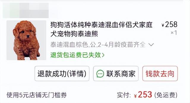 商家出售病宠传染家中宠物怎么办？法院：应赔偿经济损失