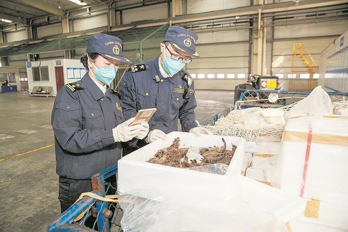 从海鲜进口回暖 看成都冷链物流产业链