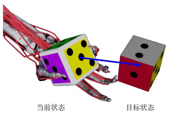 仿生灵巧手转动骰子示意图。受访者供图