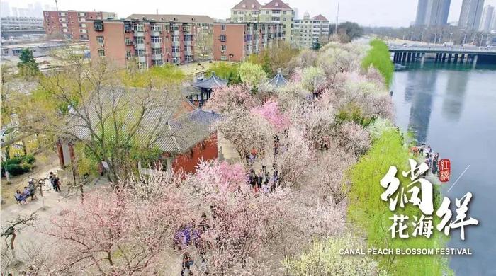 揭秘 | 运河桃花节来了！这里为何令帝王侧目、“北洋”入歌？