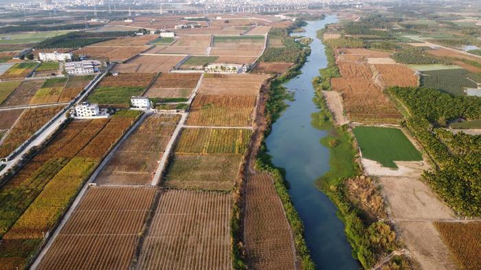 中国农科院作科所数十种生物育种新成果在海南集中展示