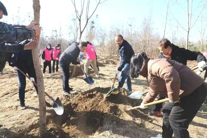 春回大地 植树添绿！顺义区义务植树尽责接待点欢迎您