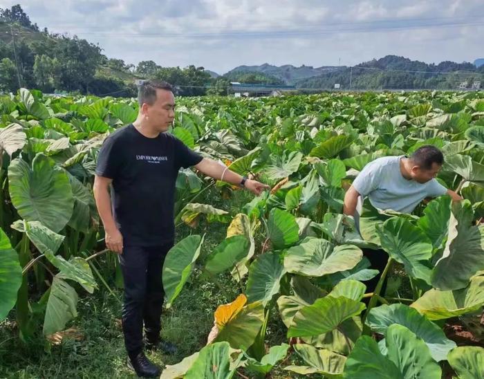 同样用预制菜，为什么长沙是“美食之都”，杭州是“美食荒漠”？