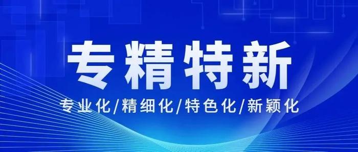 被投企业「睿思芯科」荣获深圳市“专精特新企业”称号 | LCIG Portfolio