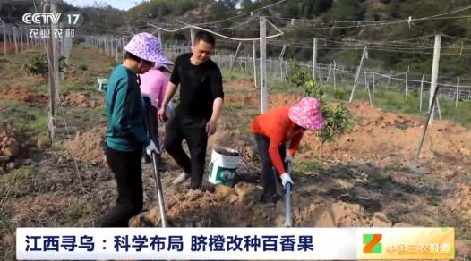 他带全村种百香果致富，背后藏着“寻乌经验”