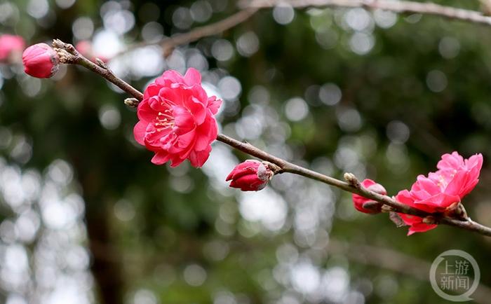 上游新闻带你看校花（6）丨重庆理工大学 何力航摄影作品