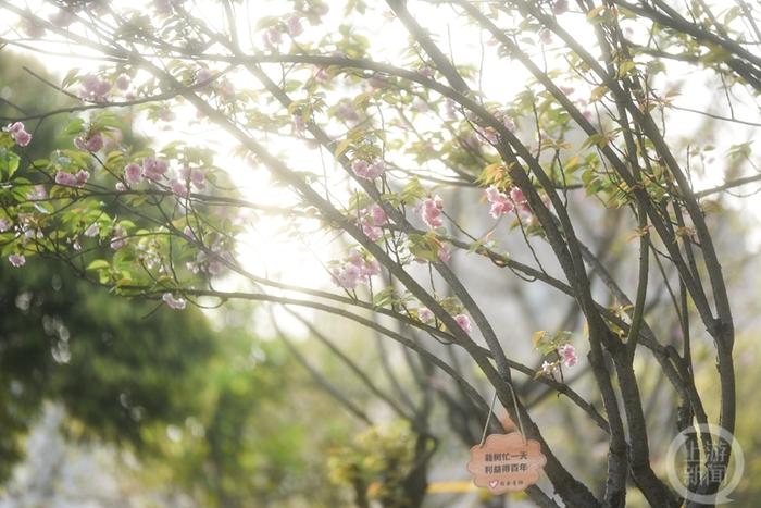 上游新闻带你看校花（8）丨重庆理工大学 刘宇杰摄影作品