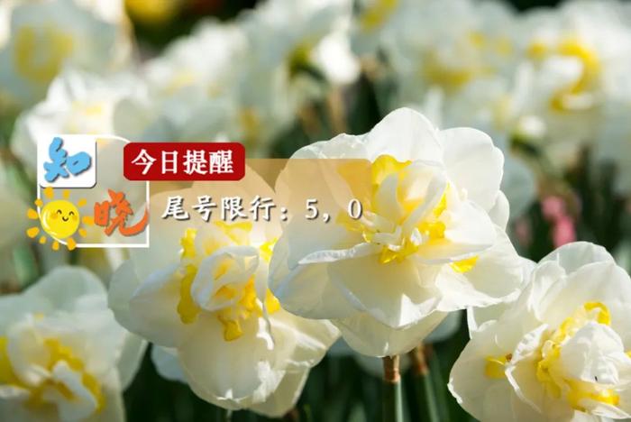 知晓｜5~20℃，北京种植牙价格将大幅降低！全国首份“小修小补便民地图”出炉！灵活就业人员社保可转职工社保？假的！