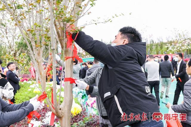 倡导绿色殡葬新风，广西12地同步举行节地生态安葬活动