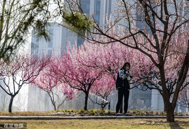 北京：大望京公园春色满园