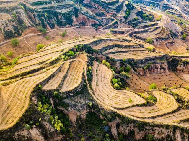 孝义：乡村处处景 春意片片浓