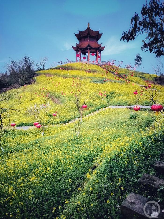 上游新闻带你看校花（12）丨重庆师范大学 江德龙摄影作品