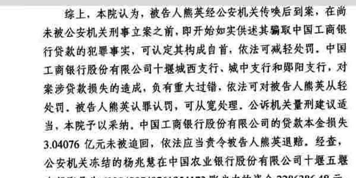 女子假材料骗贷31次致银行损失3亿余元，重审后获刑2年8个月