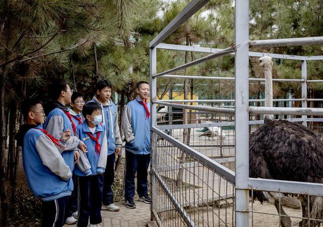 图话丨柳林：“星程圆梦”助力孩子们的圆梦之旅