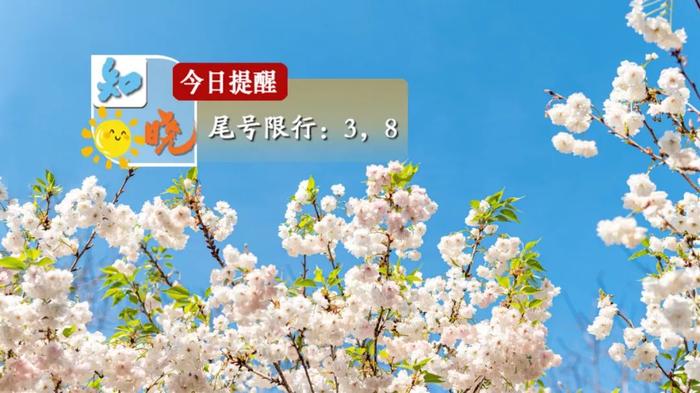 知晓｜9~26℃，北京多家医院“上新”预约挂号服务平台！北京将新增一条客运大巴新线，连接首都机场与承德避暑山庄！