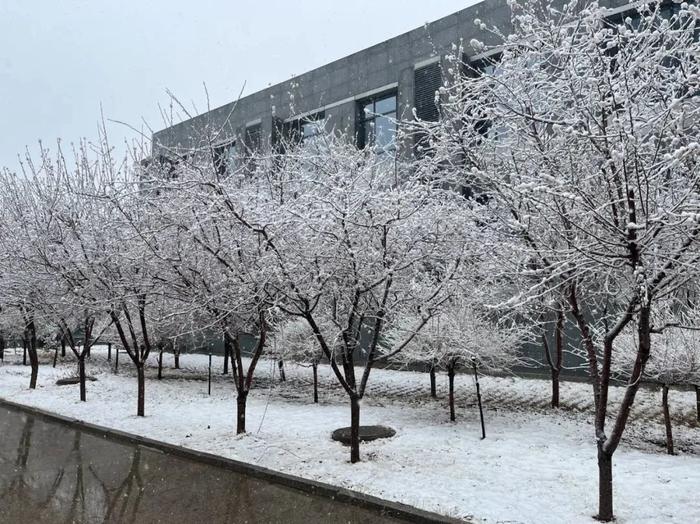 今年来最大范围强雨雪天气即将来袭，影响多大？成因分析→