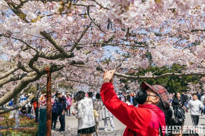 青岛中山公园…挤挤挤挤挤翻了天！鞋子被踩掉好几遍！一个神秘小区也意外火出了圈